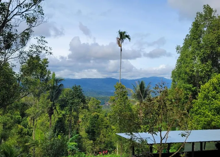 D'langun Bali * Munduk