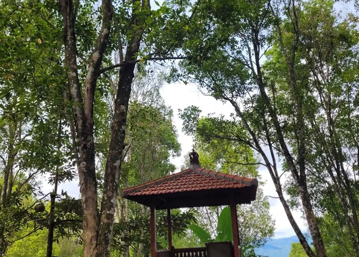 D'langun Bali Munduk