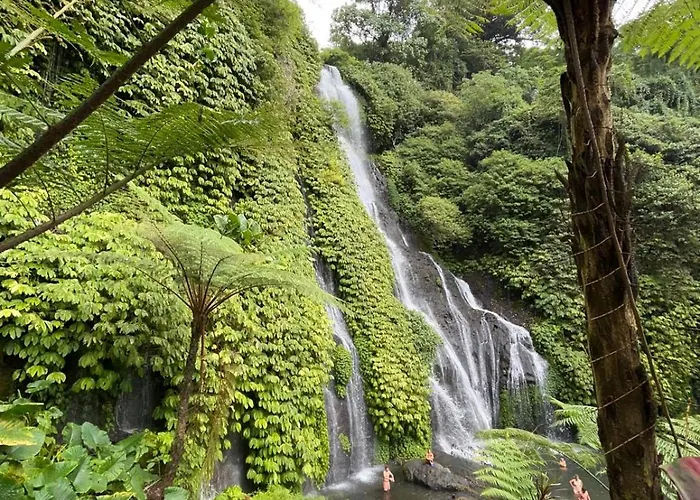 D'langun Bali * Munduk