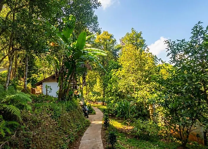 ロッジ D'langun Bali Munduk